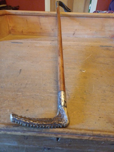 Antique silver collared antler - antique,
