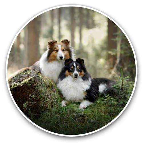 Vinyl stickers 5cm - stickers,