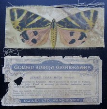 JERSEY TIGER MOTH Butterflies & Moths X12 by R.J. Lea ltd