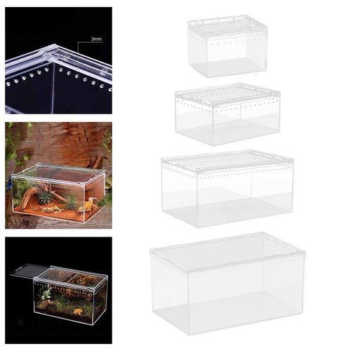 Reptile breeding box - reptile,