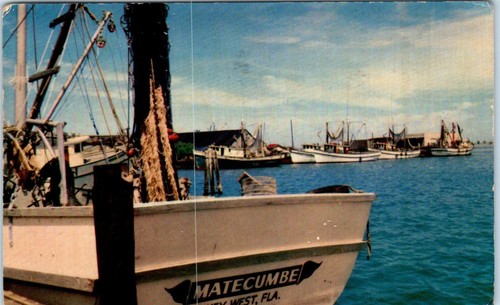 Shrimp sponge fishing boats - fishing,