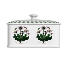 Portmeirion Botanic Garden 6"
