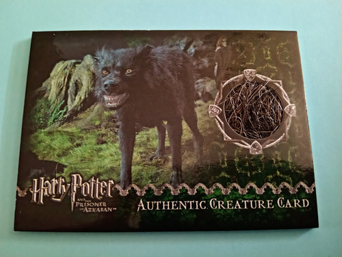 Harry potter prisoner - harry,