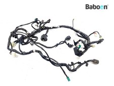 Wiring Harness (Main) Yamaha