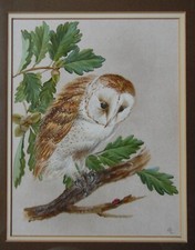 Barn Owl and Ladybird in Oak Tree. Ann Shelley-Lloyd Original Bird Portrait