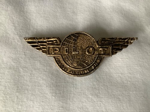 Pilot junior airline - pilot,