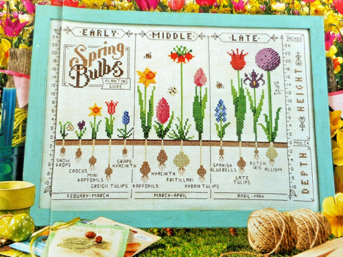 Spring bulbs sampler with - bulbs,