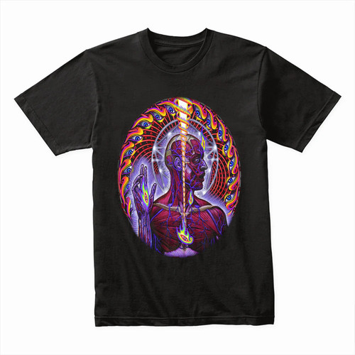 Tool lateralus vision - “lateralus, vision”