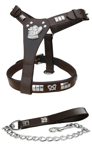 Staffy leather dog - leather,