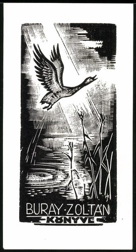 Libris buray zoltan duck - libris,