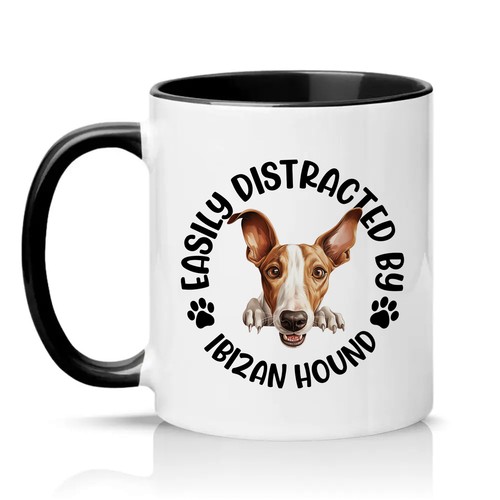 Easily distracted ibizan - distracted,