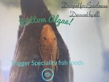 Superior  Bristlenose food-High Nutrition content-catfish-High in Spirulina
