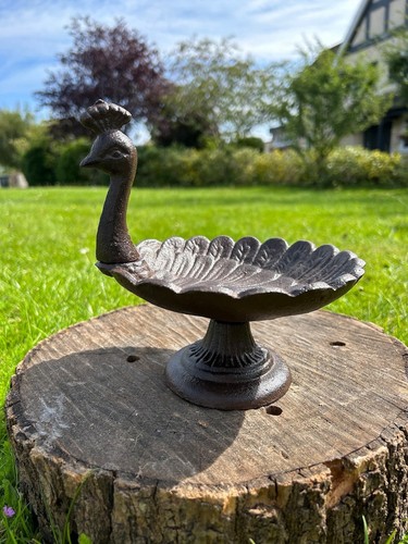 Peacock bird feeder balcony - peacock,