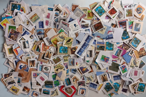 1000 new zealand - 🌟, 1000~new