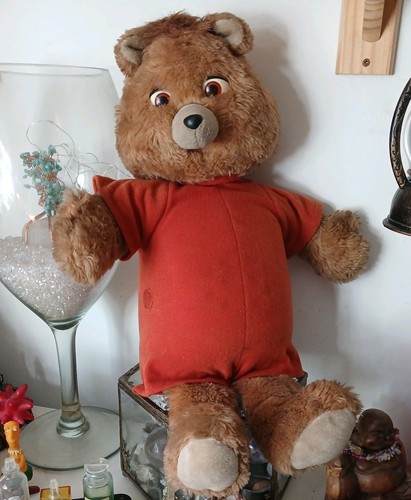 1985 world wonders teddy - wonders,