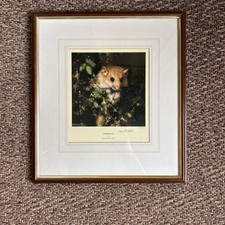 David Shepherd Dormouse