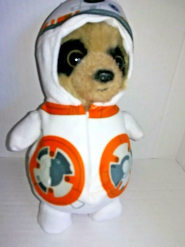 Compare the meerkat baby - meerkat, oleg