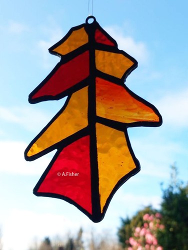 Stained glass oak leaf - oak, in