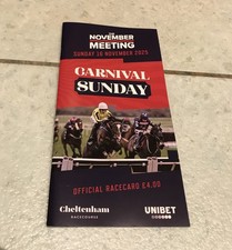 NOVEMBER MEETING 2025 - CHELTENHAM RACE CARD - SUNDAY 16TH  - MINT CONDITION