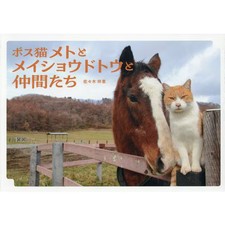 Boss cat meto meishodotou - meto,