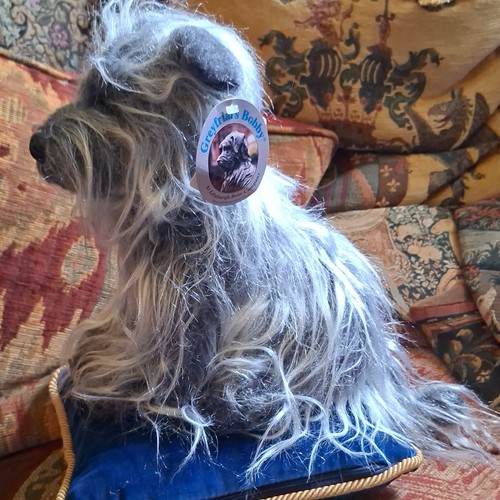 Greyfpriars bobby plush - greyfpriars,