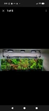 5ft aquarium light - Radion XR15 FW Gen 5 Lights And 5ft Mount Rail