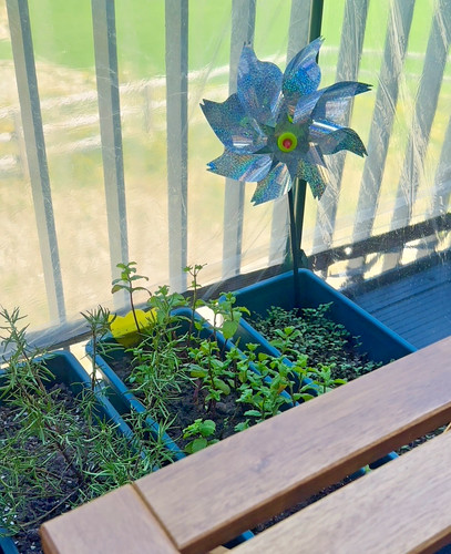 Huge bundle two silver flowers - huge,
