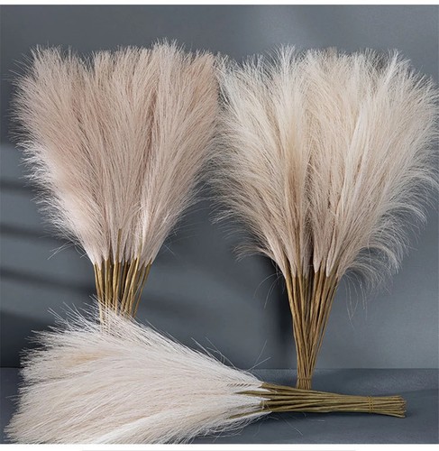20pcs fluffy pampas - 5/10/20pcs, grass