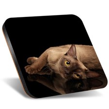 1x Square Coaster 12cm Burmese Cat Kitten Cats #50418