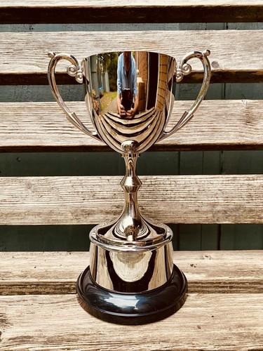 Silver trophy 9 - 🏆,