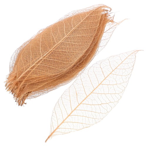 Supvox 50pcs natural - natural, skeleton
