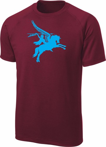 The parachute regiment - the,