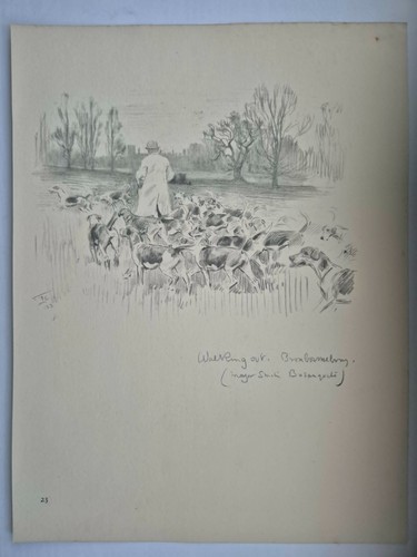 Antique pencil drawing - antique, fox