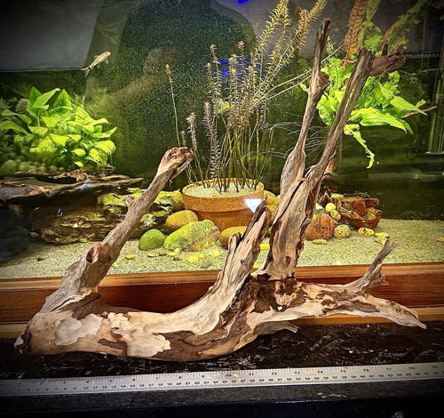 Aquarium driftwood natural - xl,