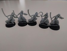 Unpainted Painted Drukhari