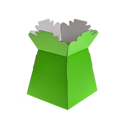 Lime 1 cream - x,