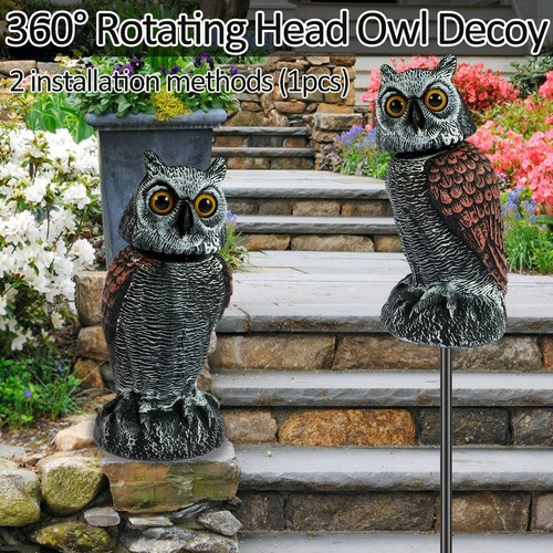 Realistic owl bird - owl, scarer
