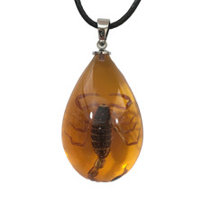 Real Scorpion Necklace
