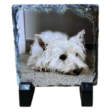 Square Personalised Photo