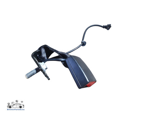 2024 trophy seat belt - trophy,