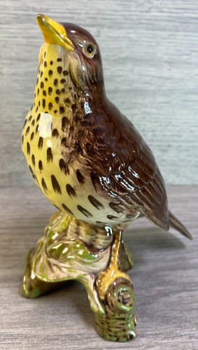 Beswick bird the song thrush - bird,