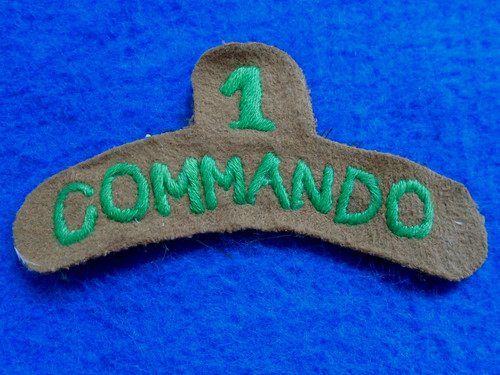 Special service battalion - special,