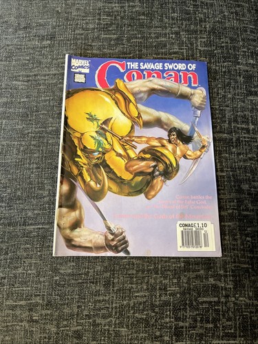 Savage sword conan the - sword,