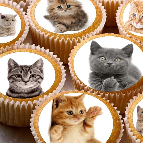 Edible cat cats kittens - edible,