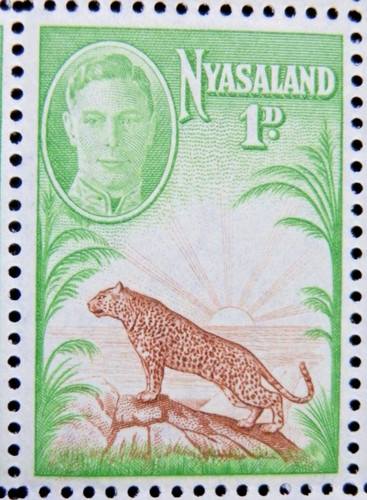 Nyasaland 1947 sg160 kgvi - kgvi,