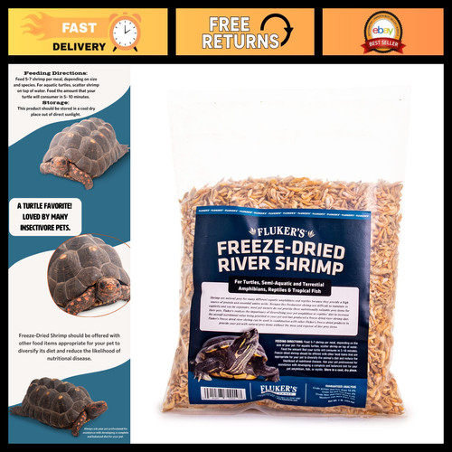 Freeze dried river - freeze,
