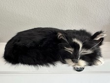 Nauticalia HMS Amethyst Ship's Cat Simon Able Seaman  Replica Realistic Fur