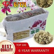 Sphagnum moss dried forest - sphagnum,