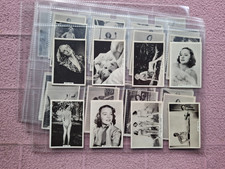 COMPLETE SET - BAT - MODERN