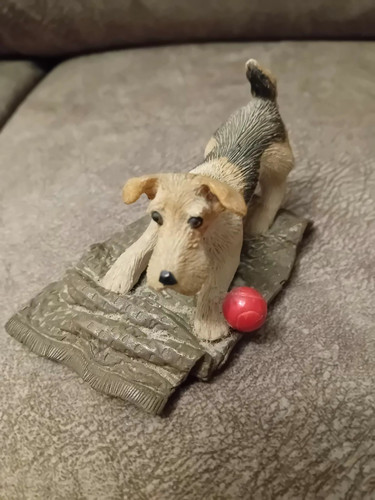 Wire haired fox terrier - wire,